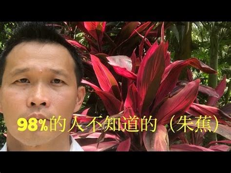 紅竹風水|紅竹風水師：2024年運勢大預測